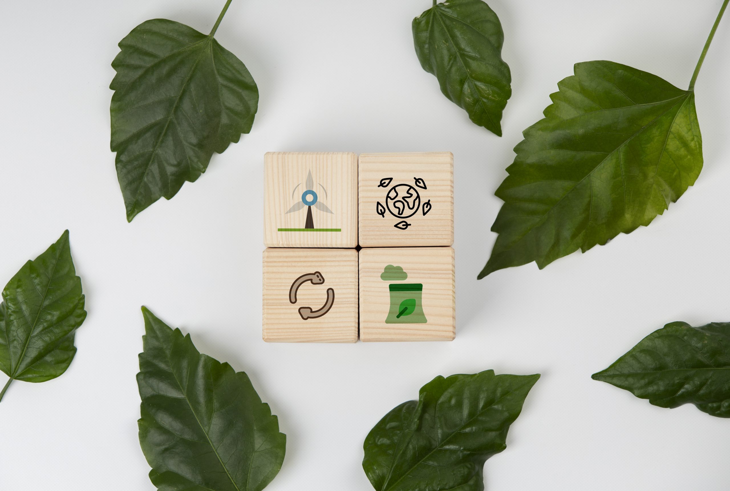symbol, välj giftfri som hållbar livsstil
